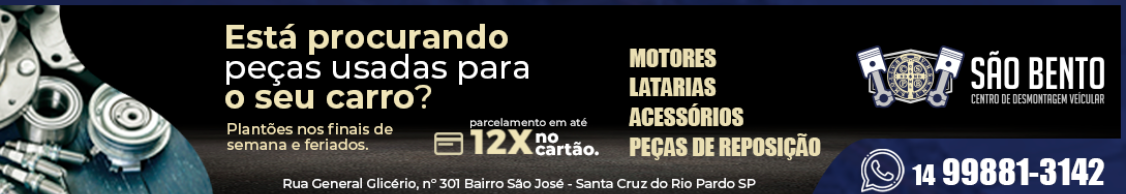 Grupo Carvalho 2