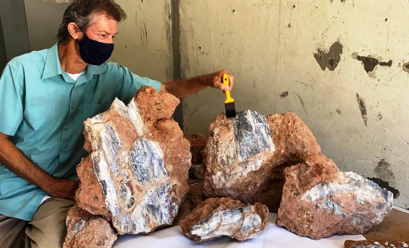 Novos fósseis de dinossauro são encontrados às margens de rodovia em Marília