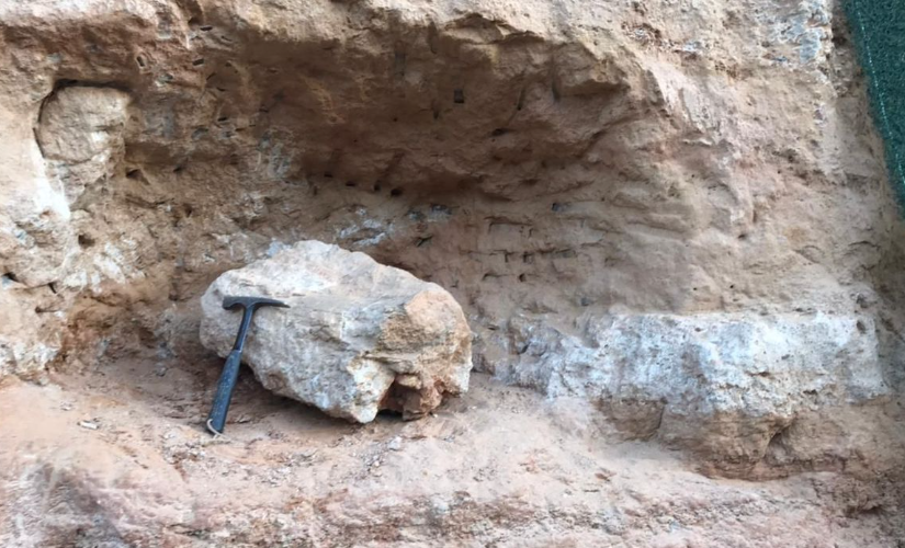 Fóssil de dinossauro é encontrado em obra de rodovia na cidade de Marília