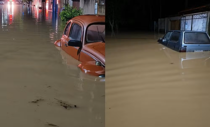 Queda de árvores, enxurrada, alagamento: chuva causa estragos na região de Itapetininga