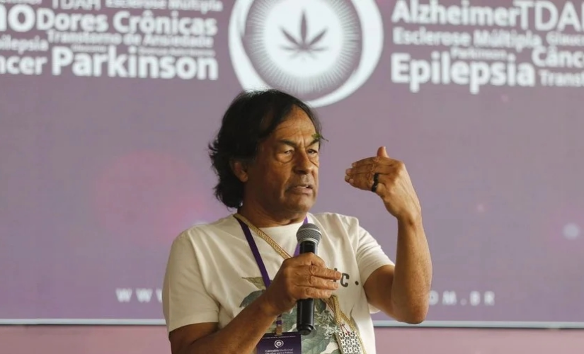Saúde: pesquisa e uso da cannabis avançaram no Brasil nos últimos anos