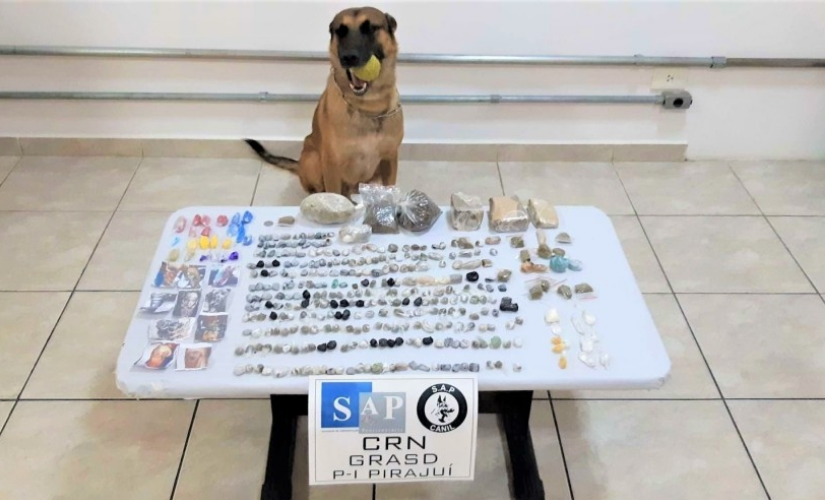 Presos do CPP II de Bauru são flagrados com drogas e minicelulares no estômago